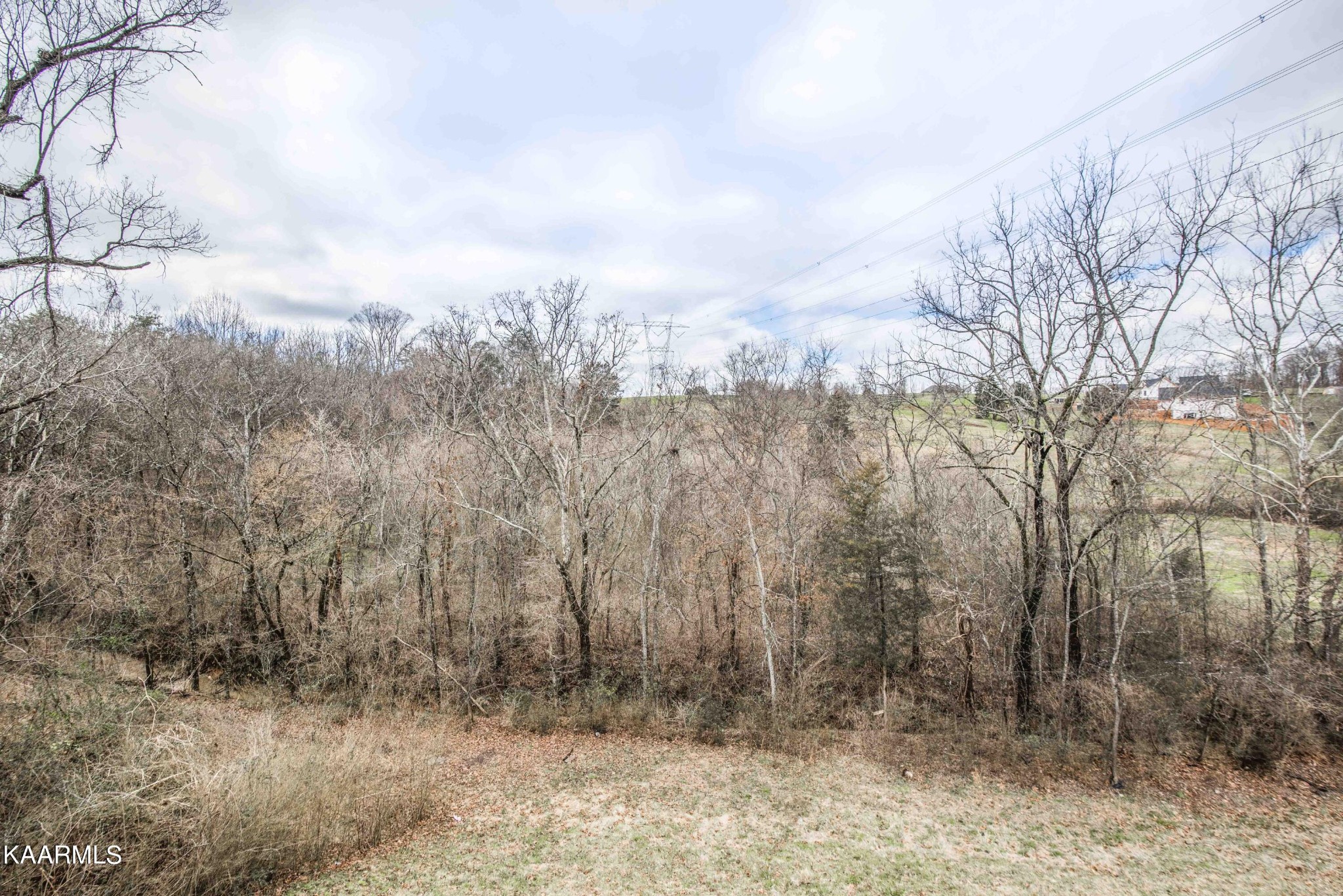 415 Long Hollow Road Friendsville, TN 37737 - Photo 8 of 51 Gallery Image 8