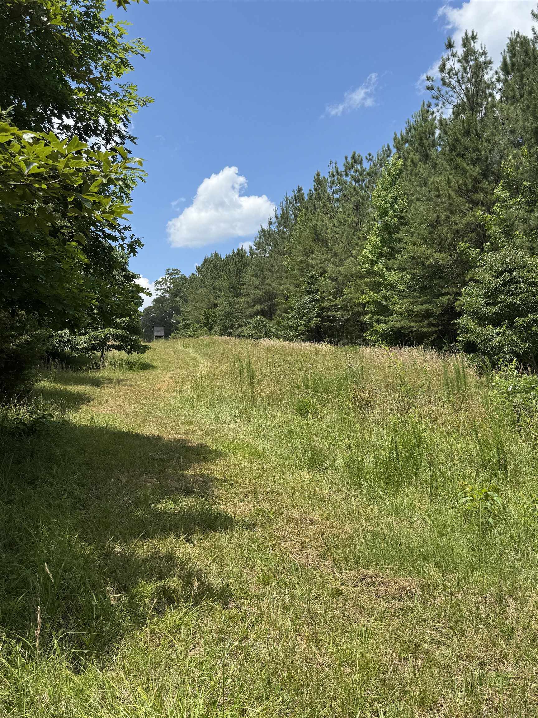 246 Lee Road Jonesville, SC 29353 - Photo 10 of 38