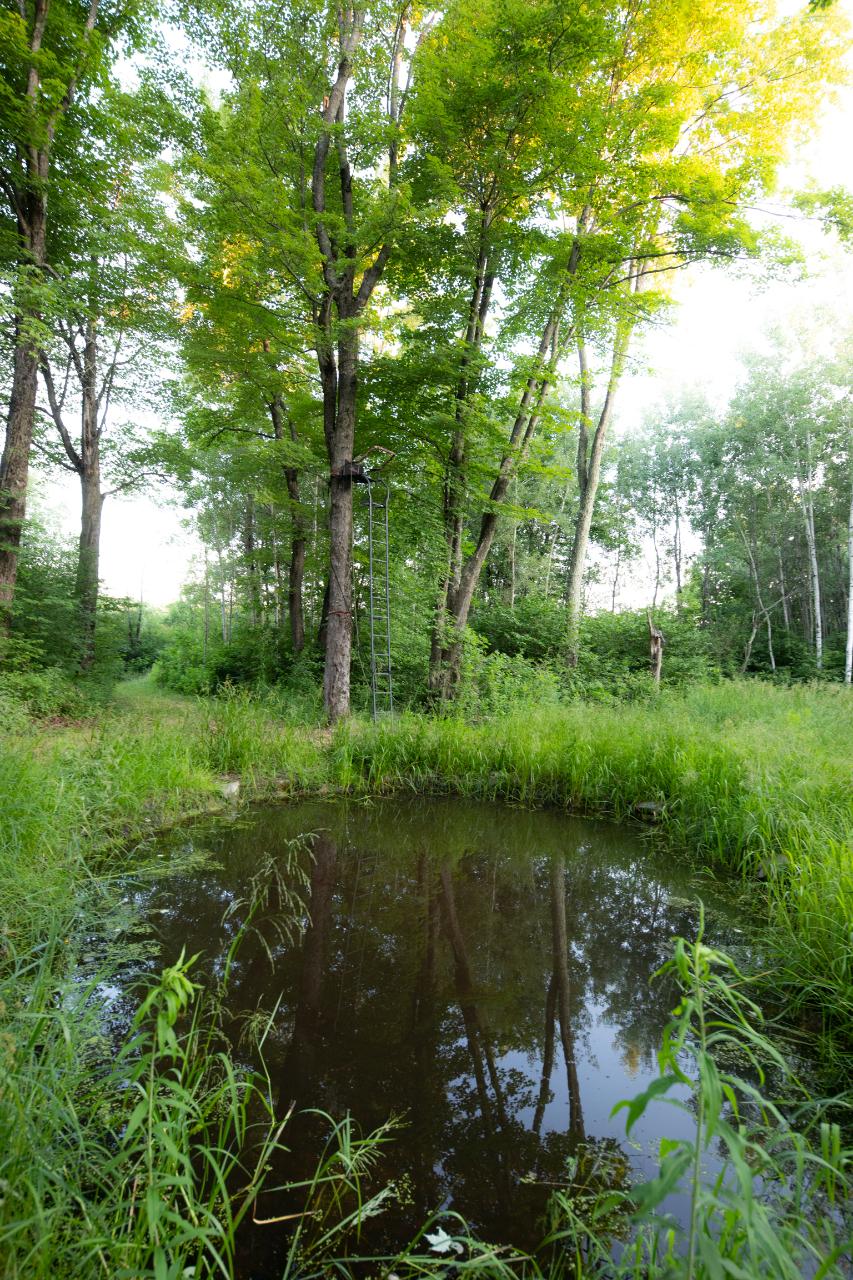 Near Near Lane Road Phillips, WI 54555 - Photo 41 of 60 Gallery Image 41