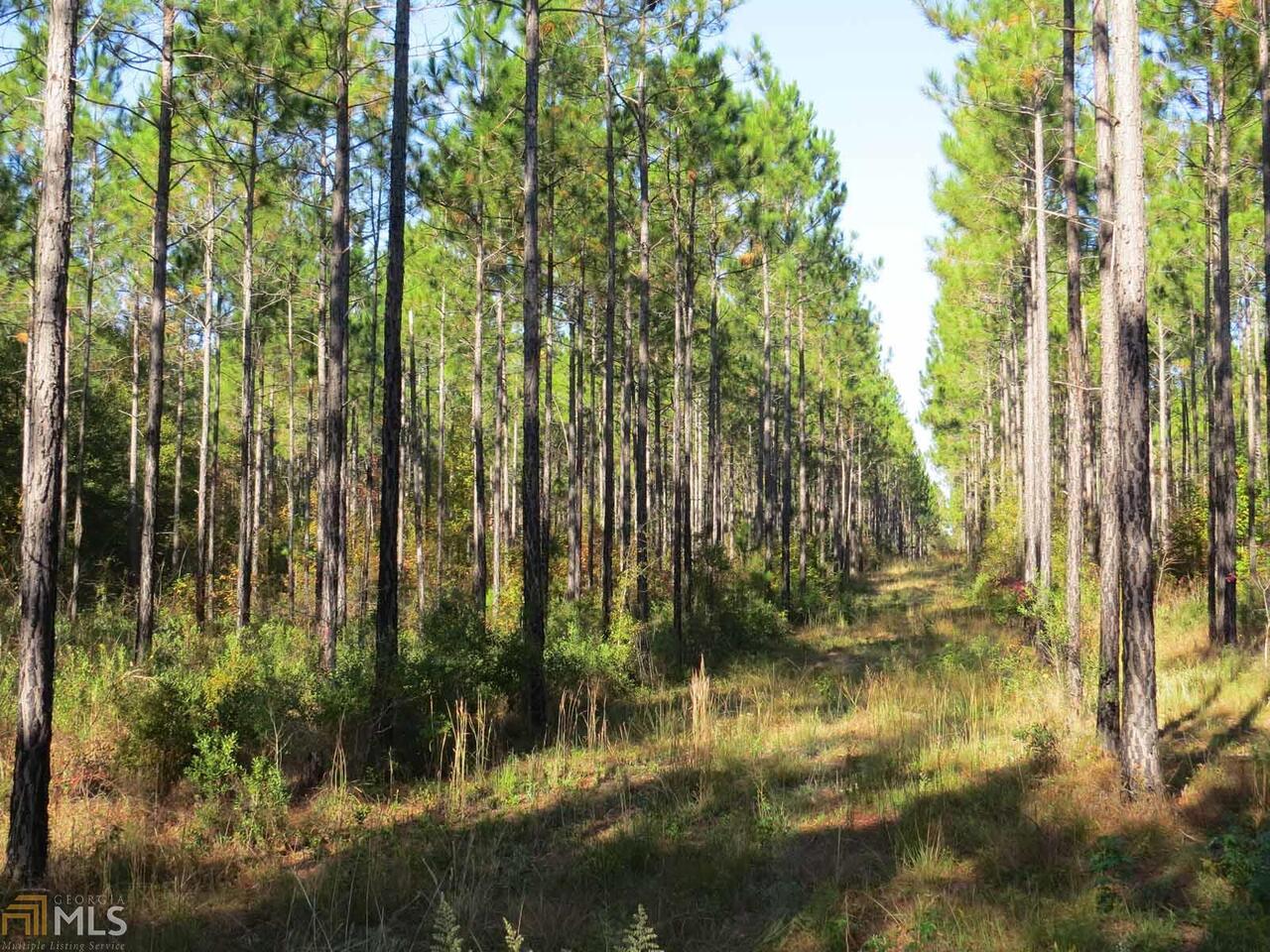 391 Long Bridge Road McRae-Helena, GA 31037 - Photo 1 of 1 Planted Pines