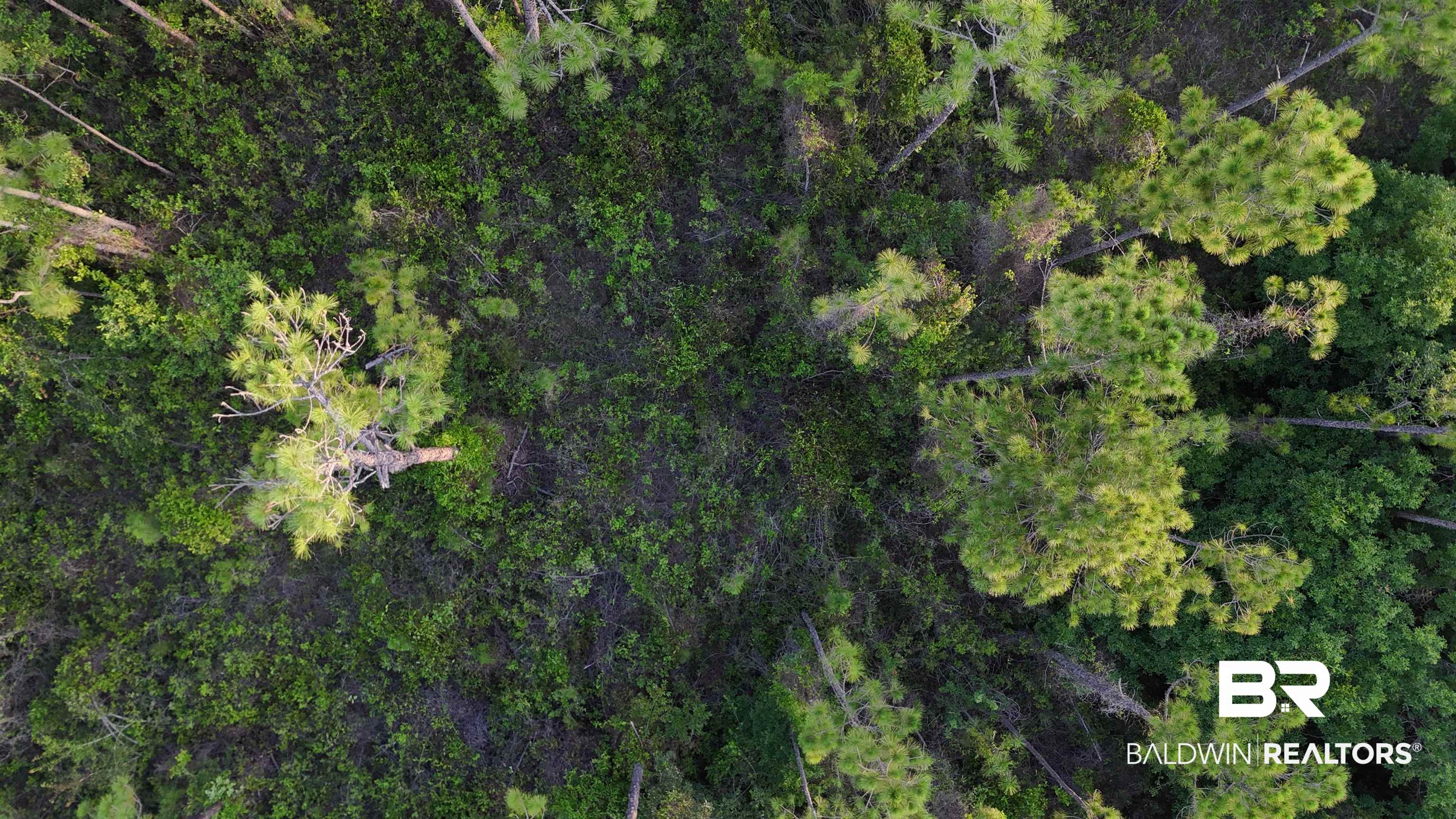 0 Highway 188 Coden, AL 36523 - Photo 6 of 37 Gallery Image 6