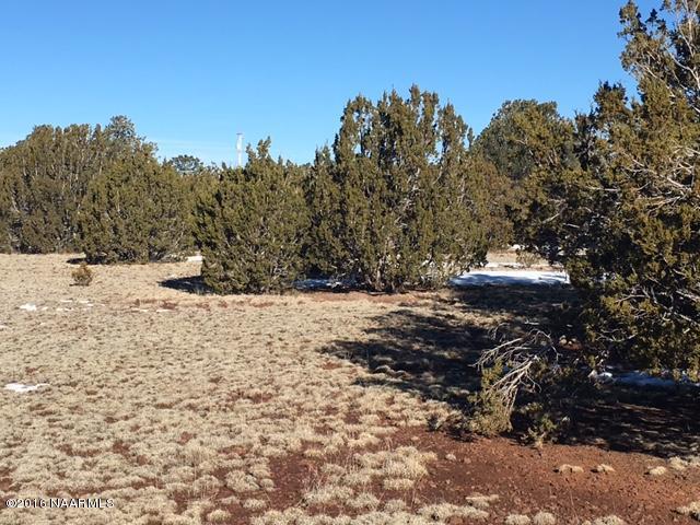 315 East Riverside Drive Williams, AZ 86046 - Photo 13 of 22 Open Area