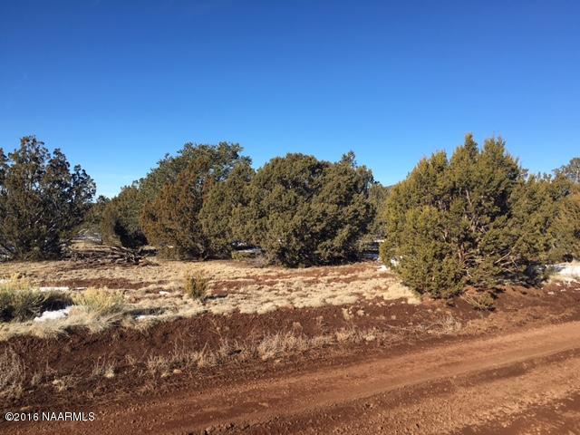 315 East Riverside Drive Williams, AZ 86046 - Photo 3 of 22 View from the road