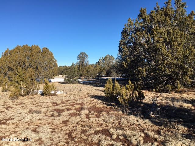 315 East Riverside Drive Williams, AZ 86046 - Photo 7 of 22 Junipers
