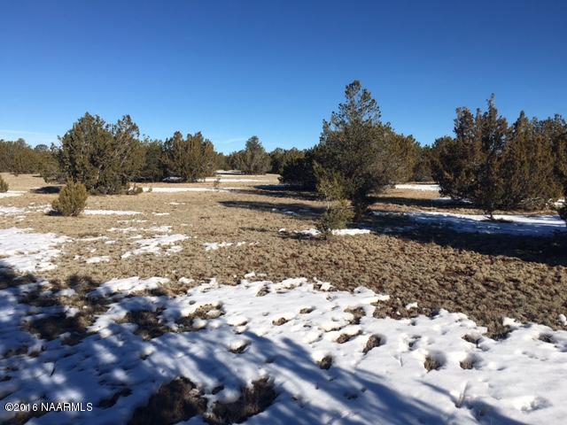 315 East Riverside Drive Williams, AZ 86046 - Photo 8 of 22 Lot