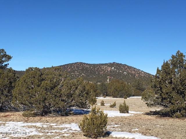 315 East Riverside Drive Williams, AZ 86046 - Photo 9 of 22 Views