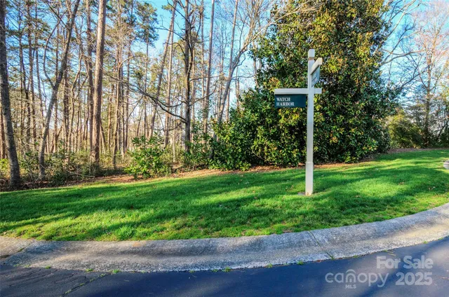 a view of a backyard with palm trees
