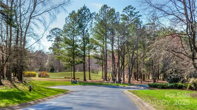 a view of a park with large trees