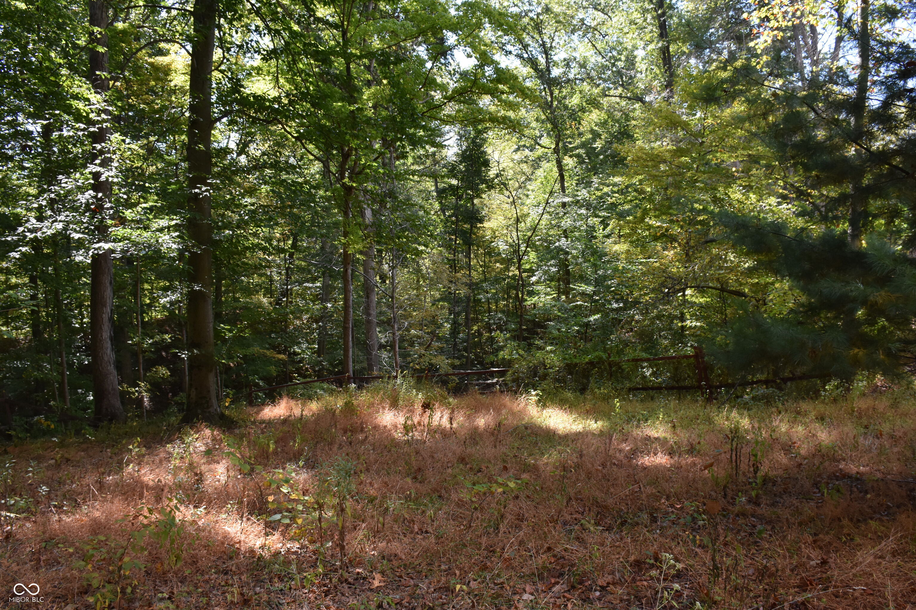 4690 Upper Patton Park Road Martinsville, IN 46151 - Photo 12 of 29