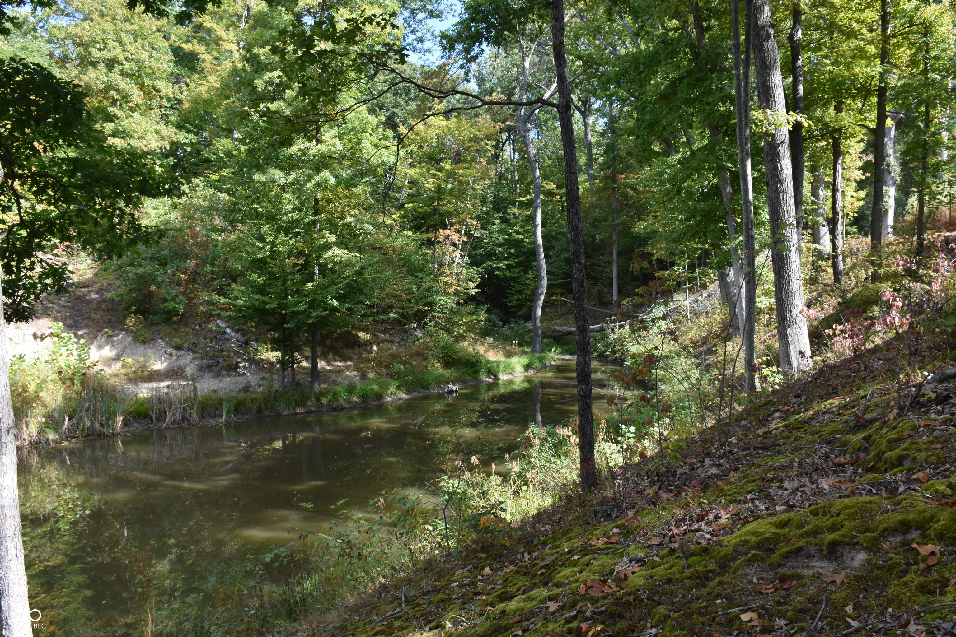 4690 Upper Patton Park Road Martinsville, IN 46151 - Photo 13 of 29