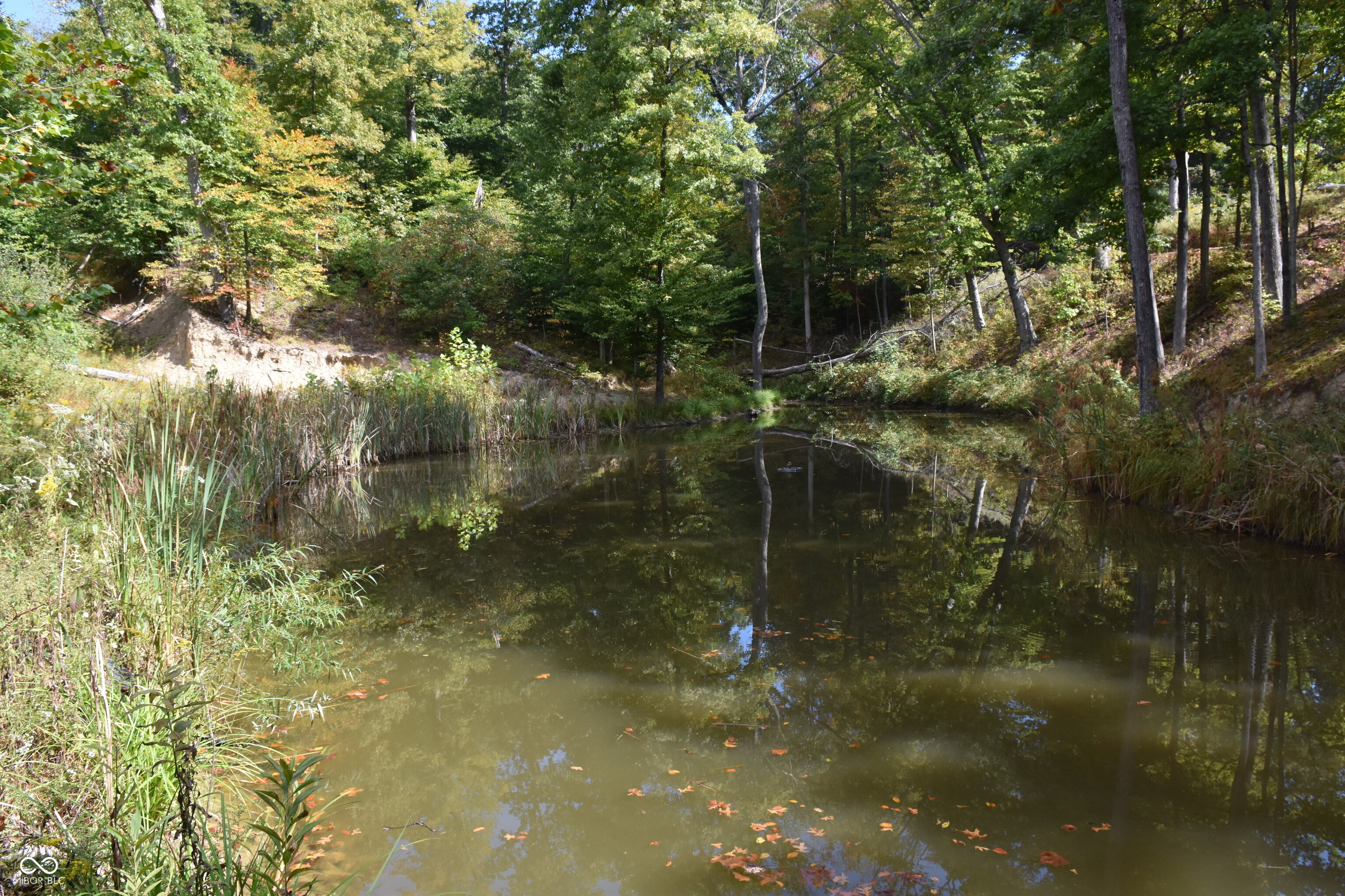4690 Upper Patton Park Road Martinsville, IN 46151 - Photo 14 of 29