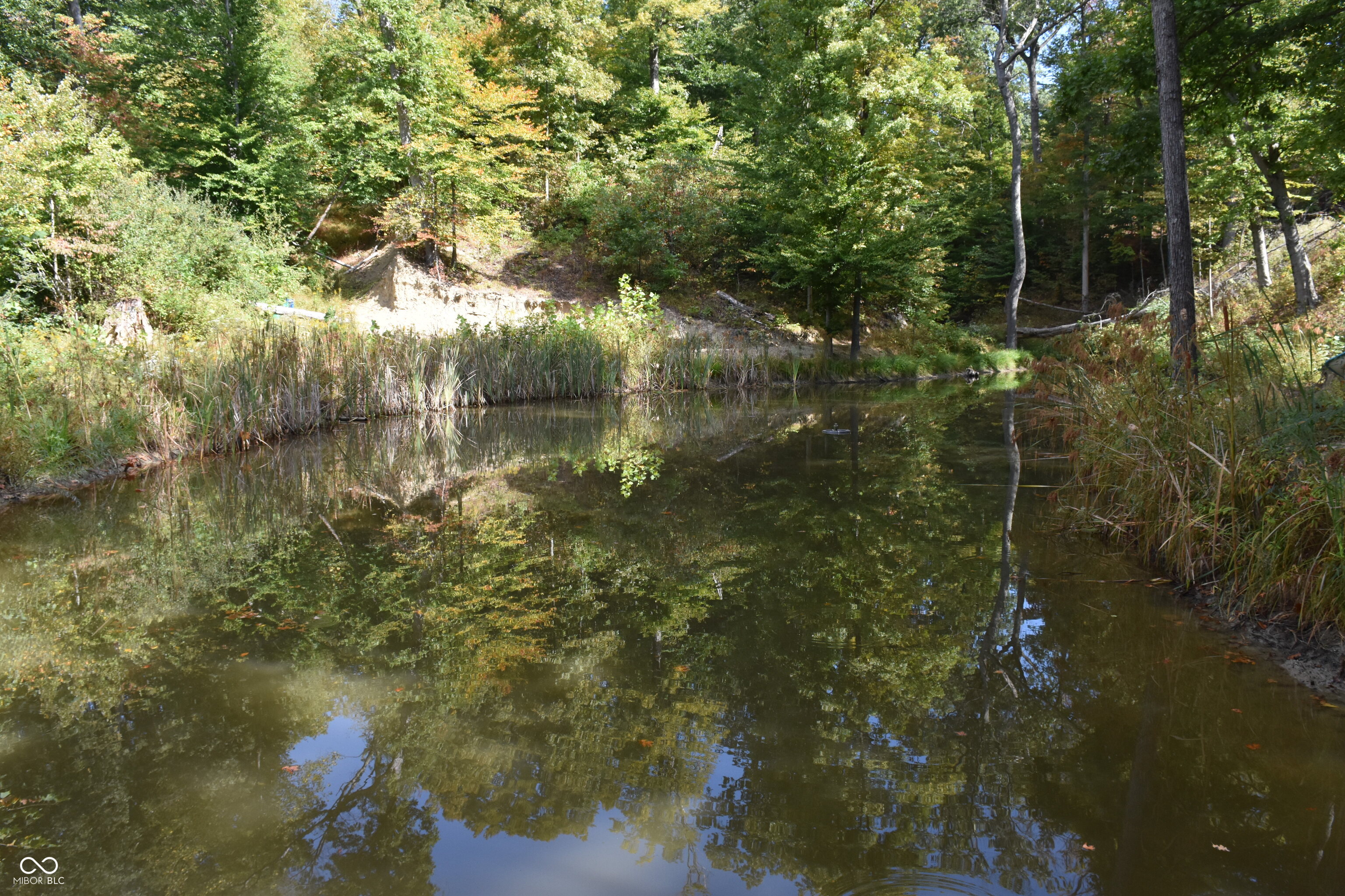 4690 Upper Patton Park Road Martinsville, IN 46151 - Photo 15 of 29
