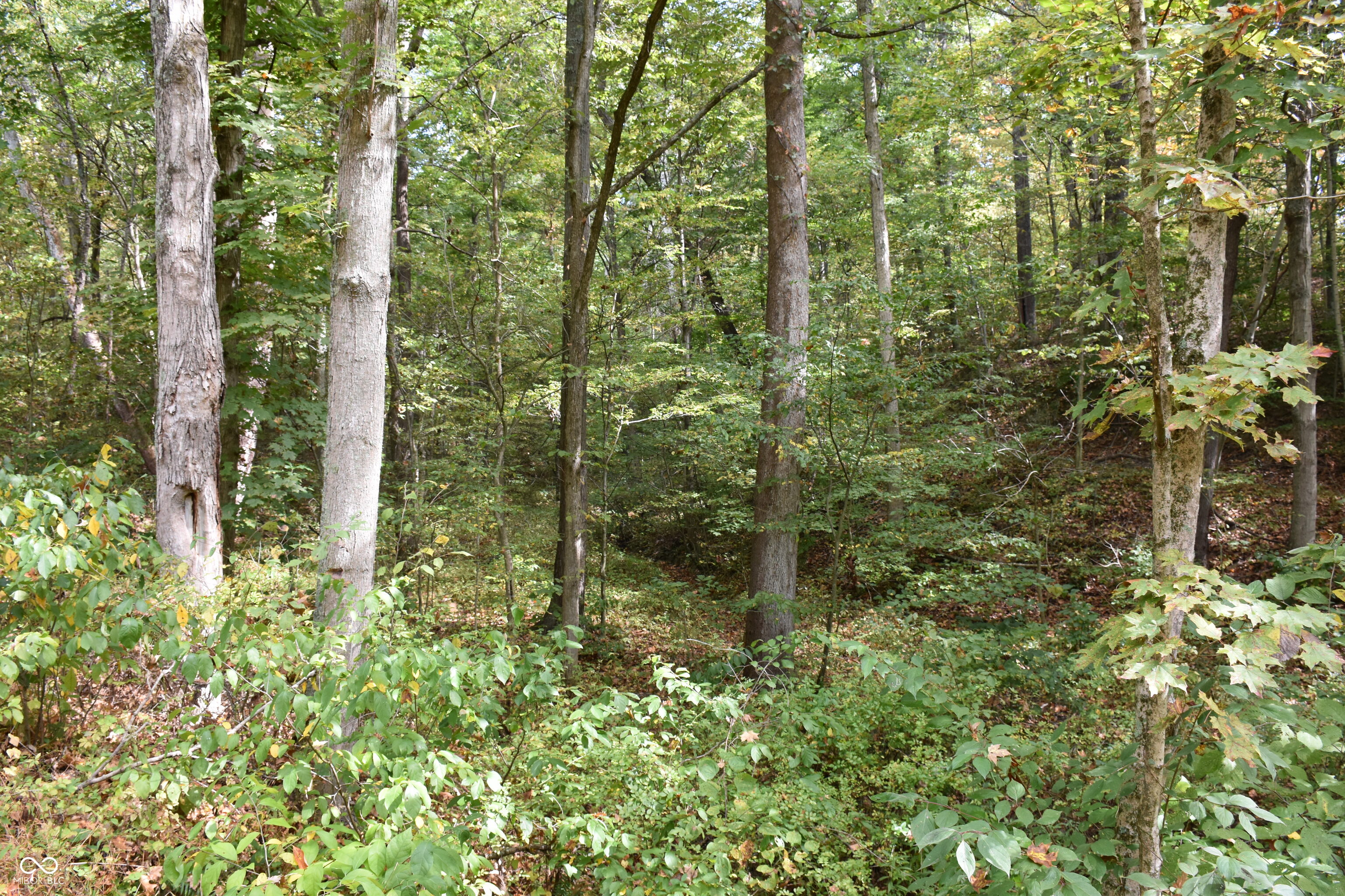 4690 Upper Patton Park Road Martinsville, IN 46151 - Photo 20 of 29