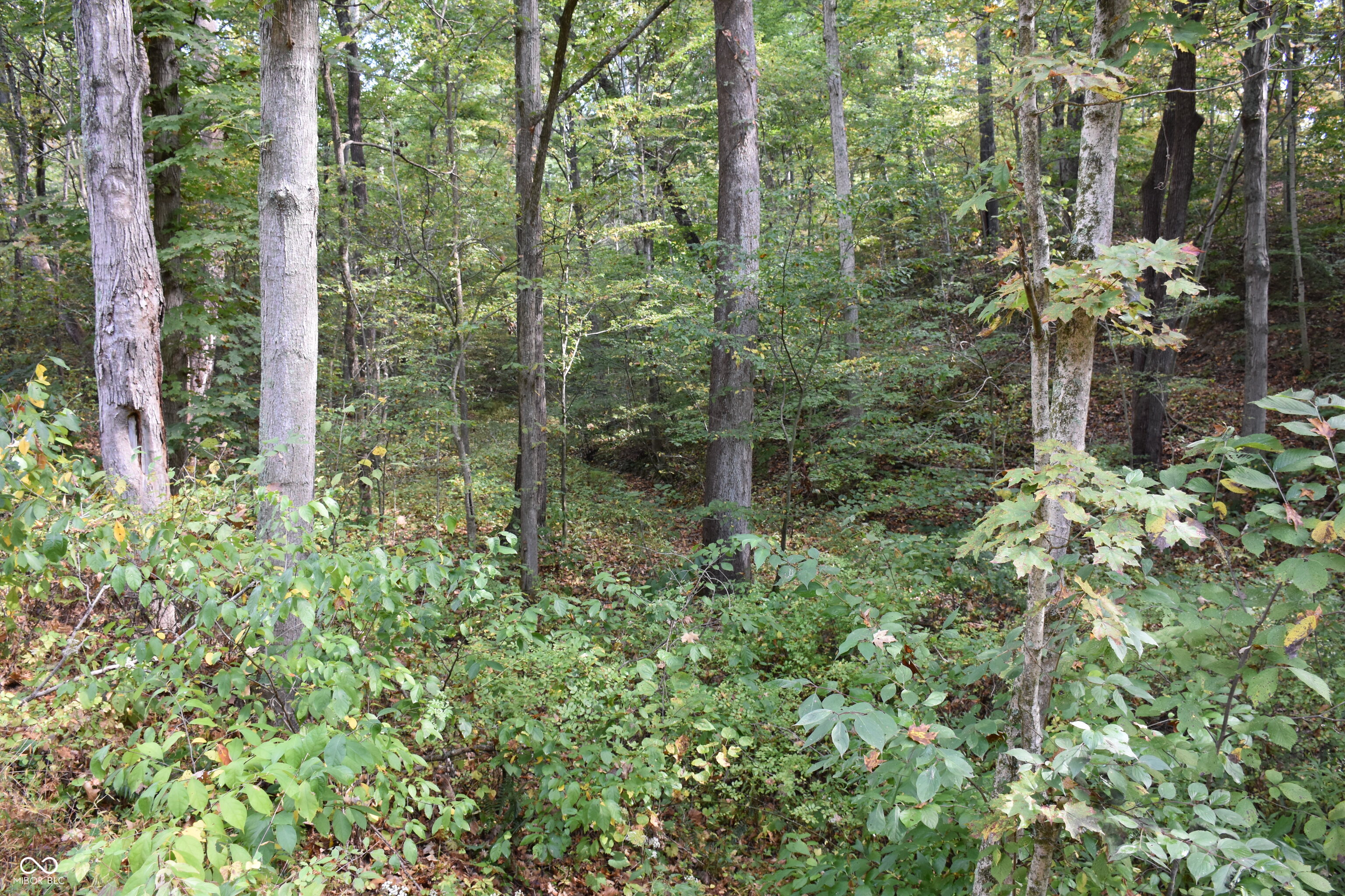 4690 Upper Patton Park Road Martinsville, IN 46151 - Photo 2 of 29