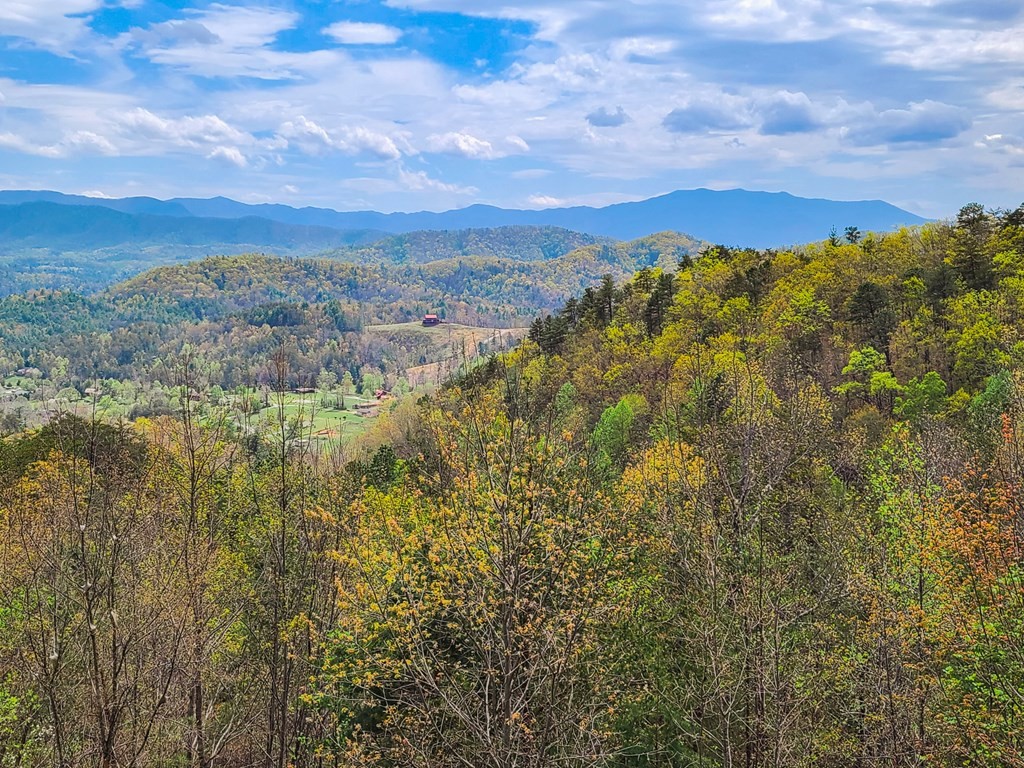 989 Autumn Ridge Way, Unit ABSOLUTELYPERFECT Sevierville, TN 37876 - Photo 15 of 27 Gallery Image 15