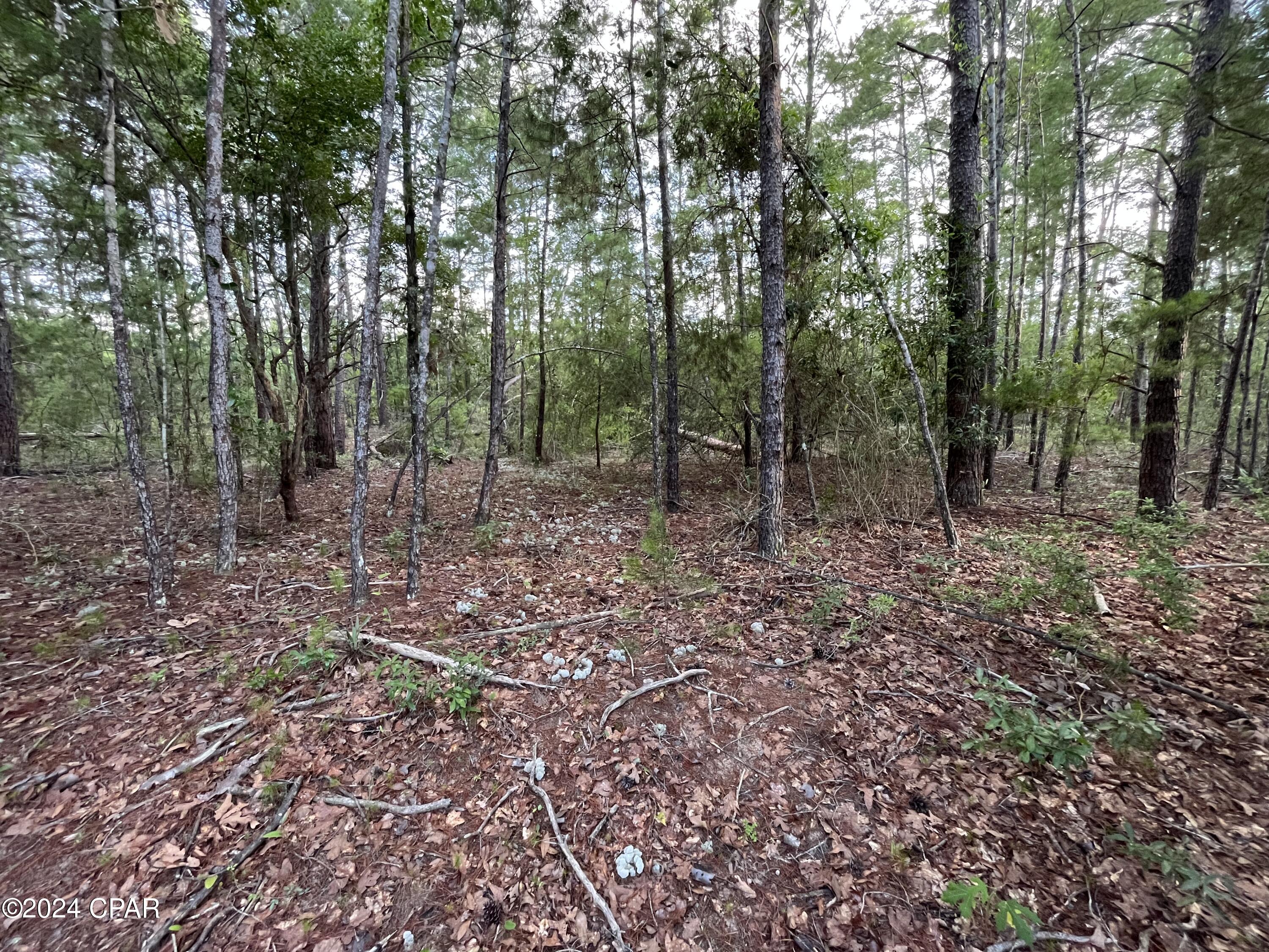 Lot 22 Dumajack Road Chipley, FL 32428 - Photo 4 of 33 Gallery Image 4