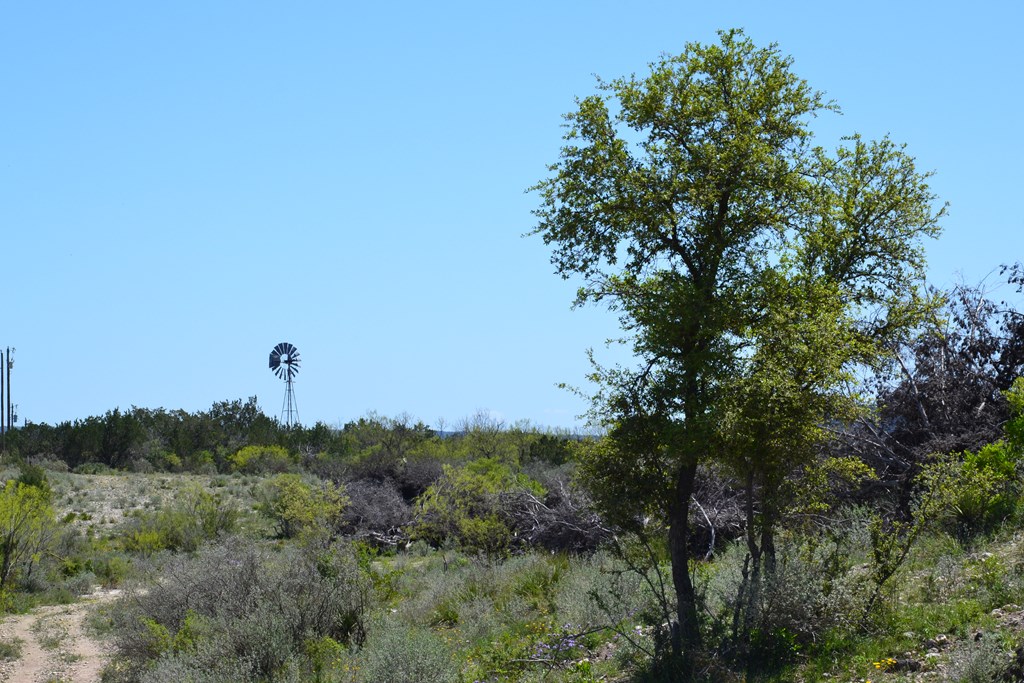 1177 Kc 311 Junction, TX 76849 - Photo 27 of 33