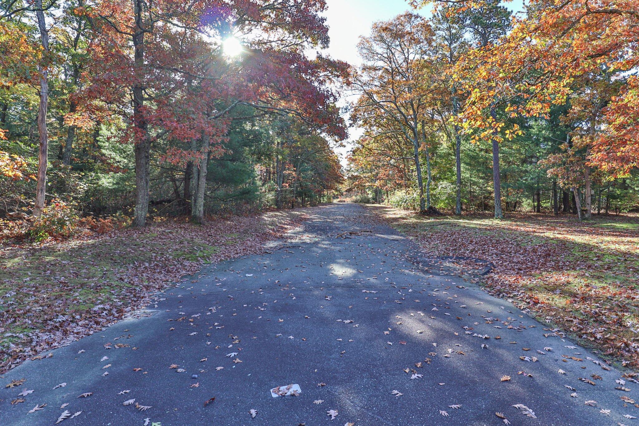 300 Falmouth Road, Unit 21E Mashpee, MA 02649 - Photo 27 of 41 a view of a tree in the middle of a yard