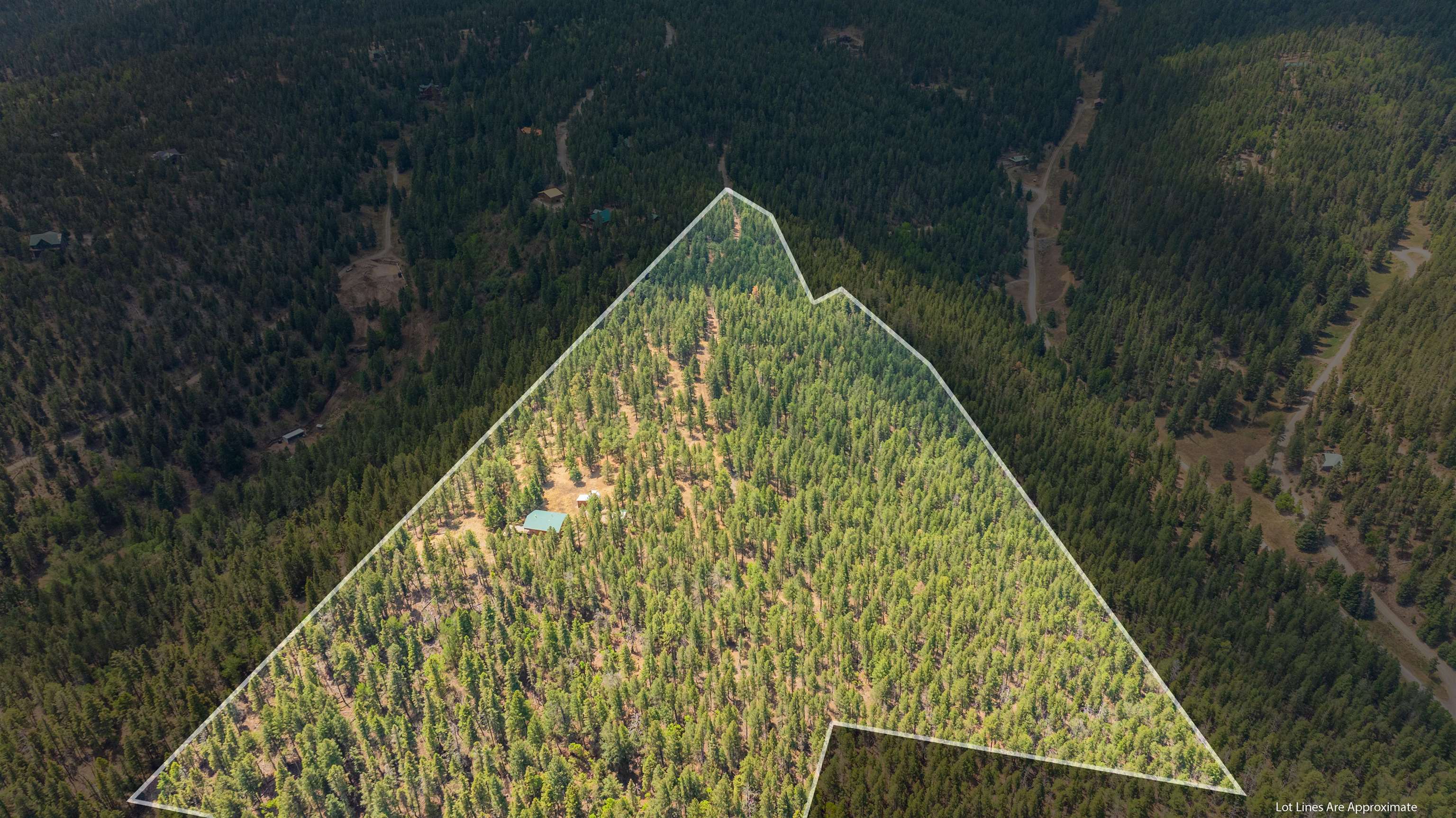 37 Big Dipper Road Cloudcroft, NM 88317 - Photo 41 of 41 Gallery Image 41