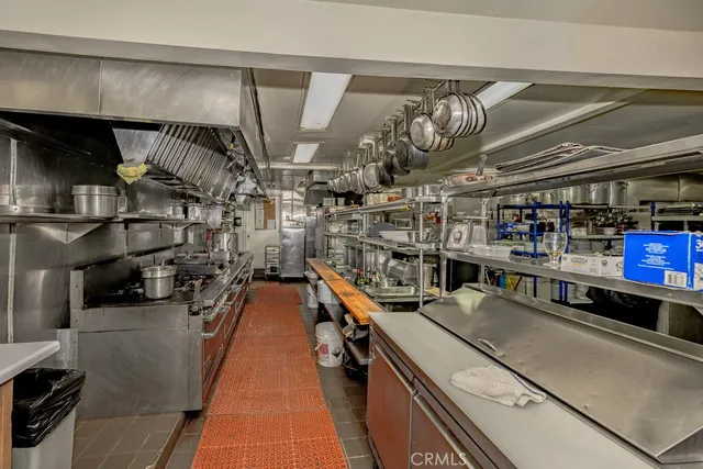 a lawn chairs and a fire pit with large trees