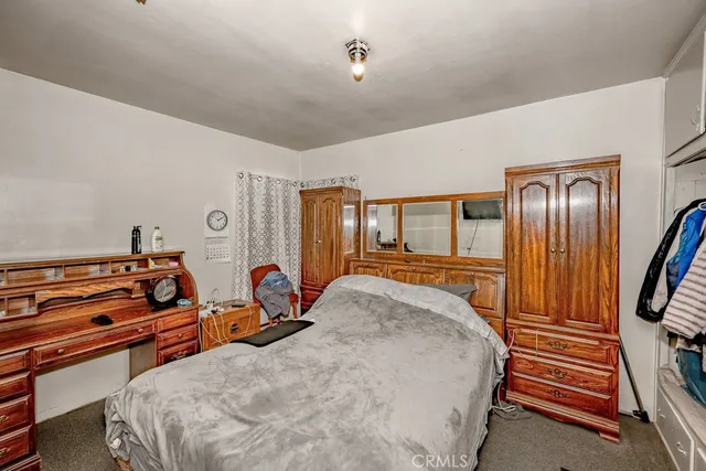a view of a road with plants and trees