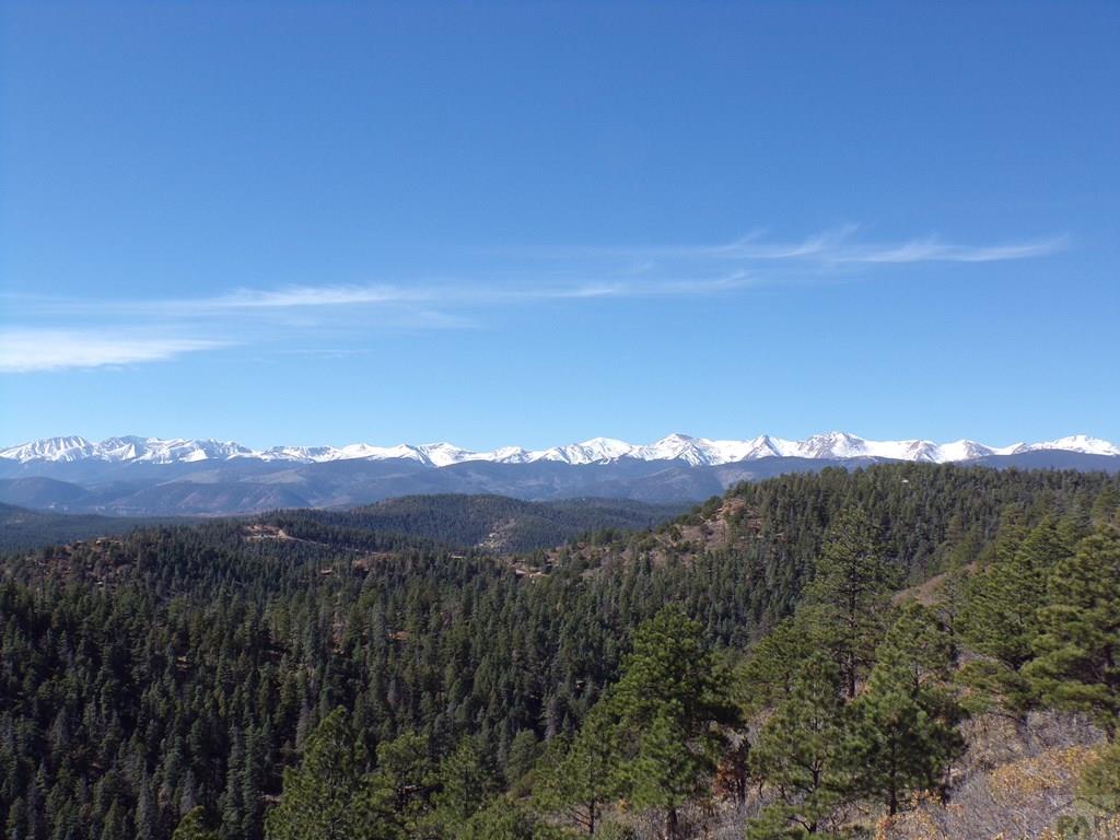 12231 Council Road Weston, CO 81091 - Photo 44 of 59 Gallery Image 44