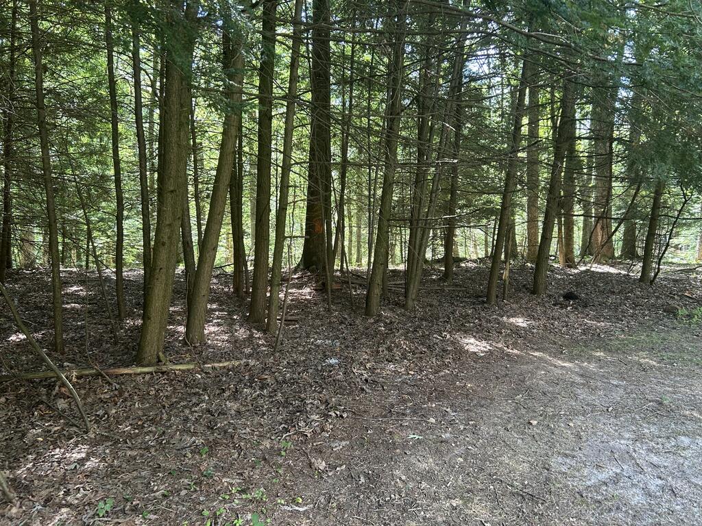 2989 Mt Hope Road Titusville, PA 16354 - Photo 35 of 42 Gallery Image 35