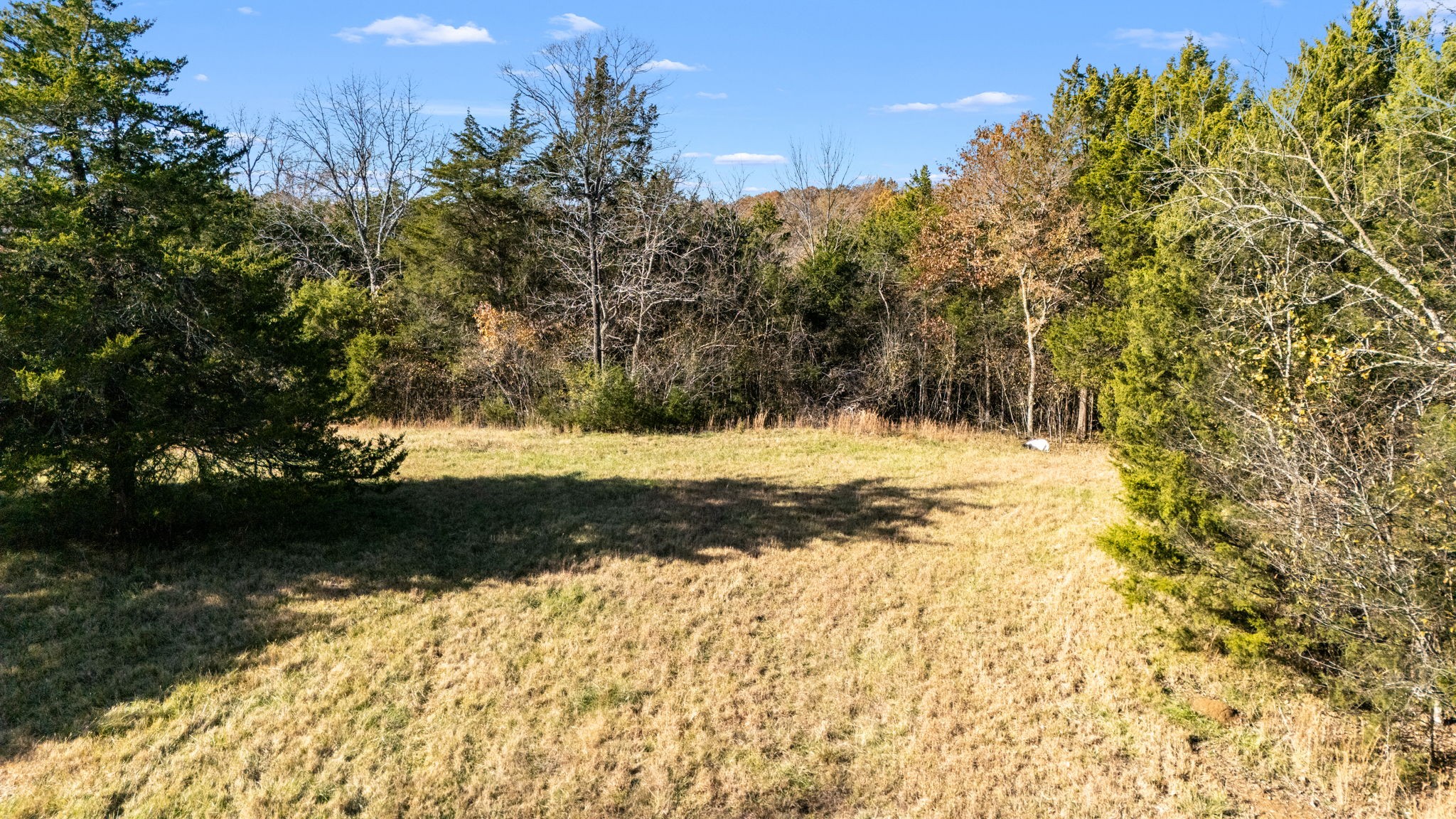 0 Vincion Road Murfreesboro, TN 37130 - Photo 16 of 33 a view of yard covered with snow