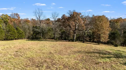 a view of large yard