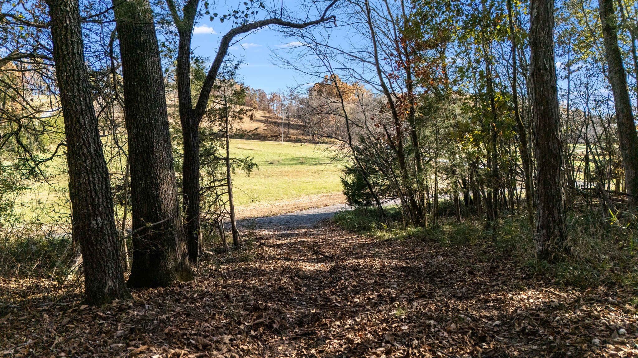 0 Vincion Road Murfreesboro, TN 37130 - Photo 20 of 33 a view of a yard with plants and trees