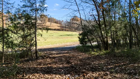 a view of a yard with wooden fence