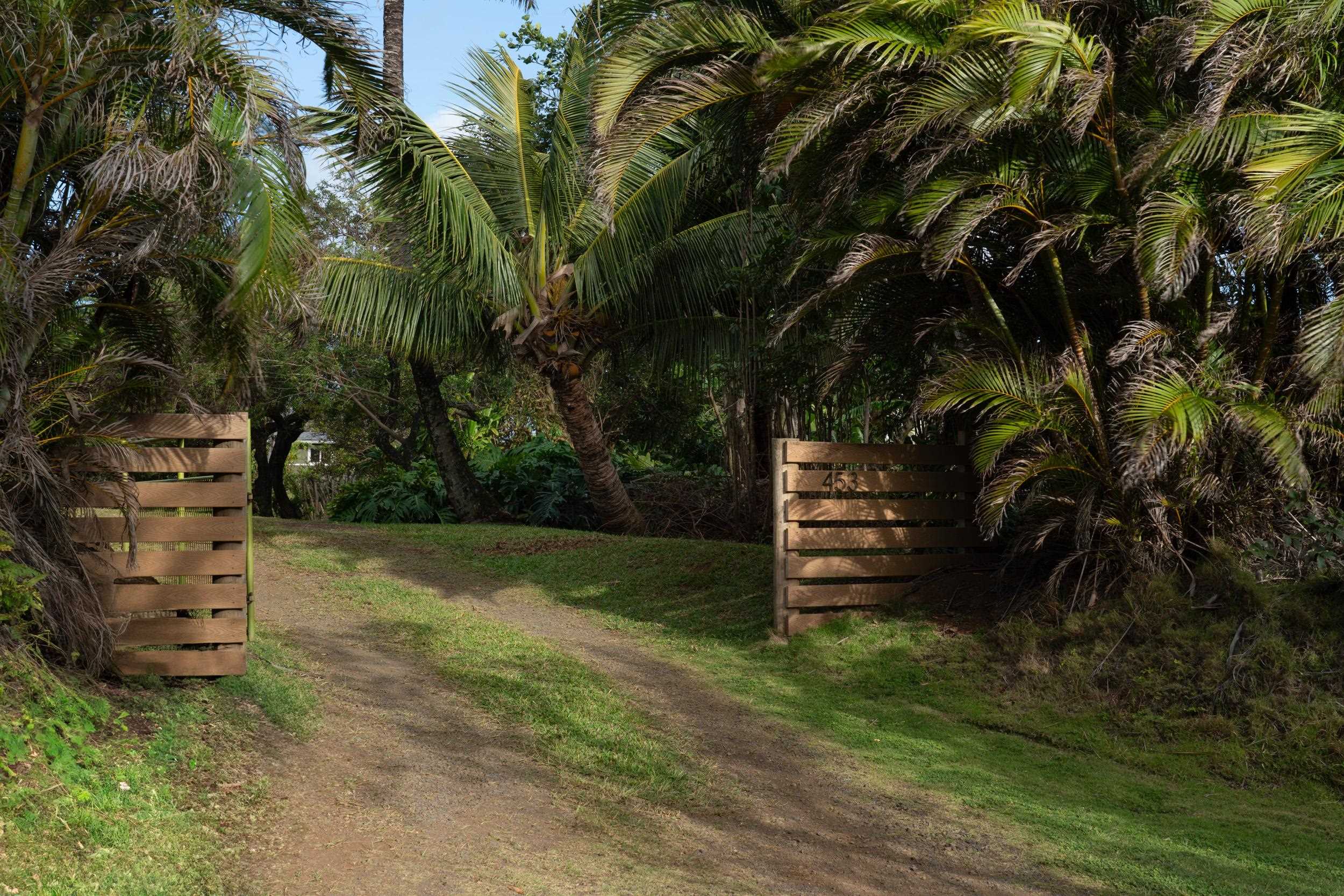 453 North Honokala Road Haiku, HI 96708 - Photo 2 of 33 a view of a backyard