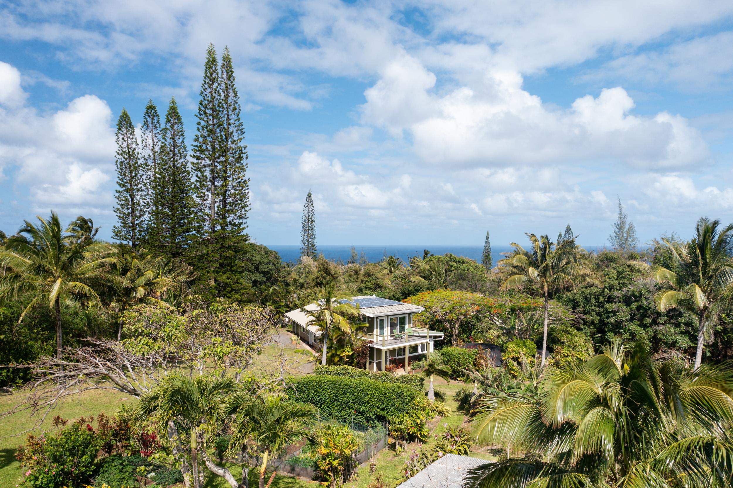 453 North Honokala Road Haiku, HI 96708 - Photo 32 of 33 a view of a garden with plants and a bench
