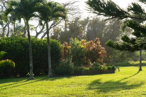 a view of swimming pool from a yard