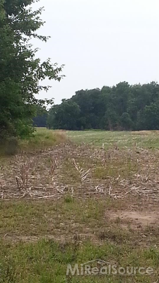 This is another view of the property.