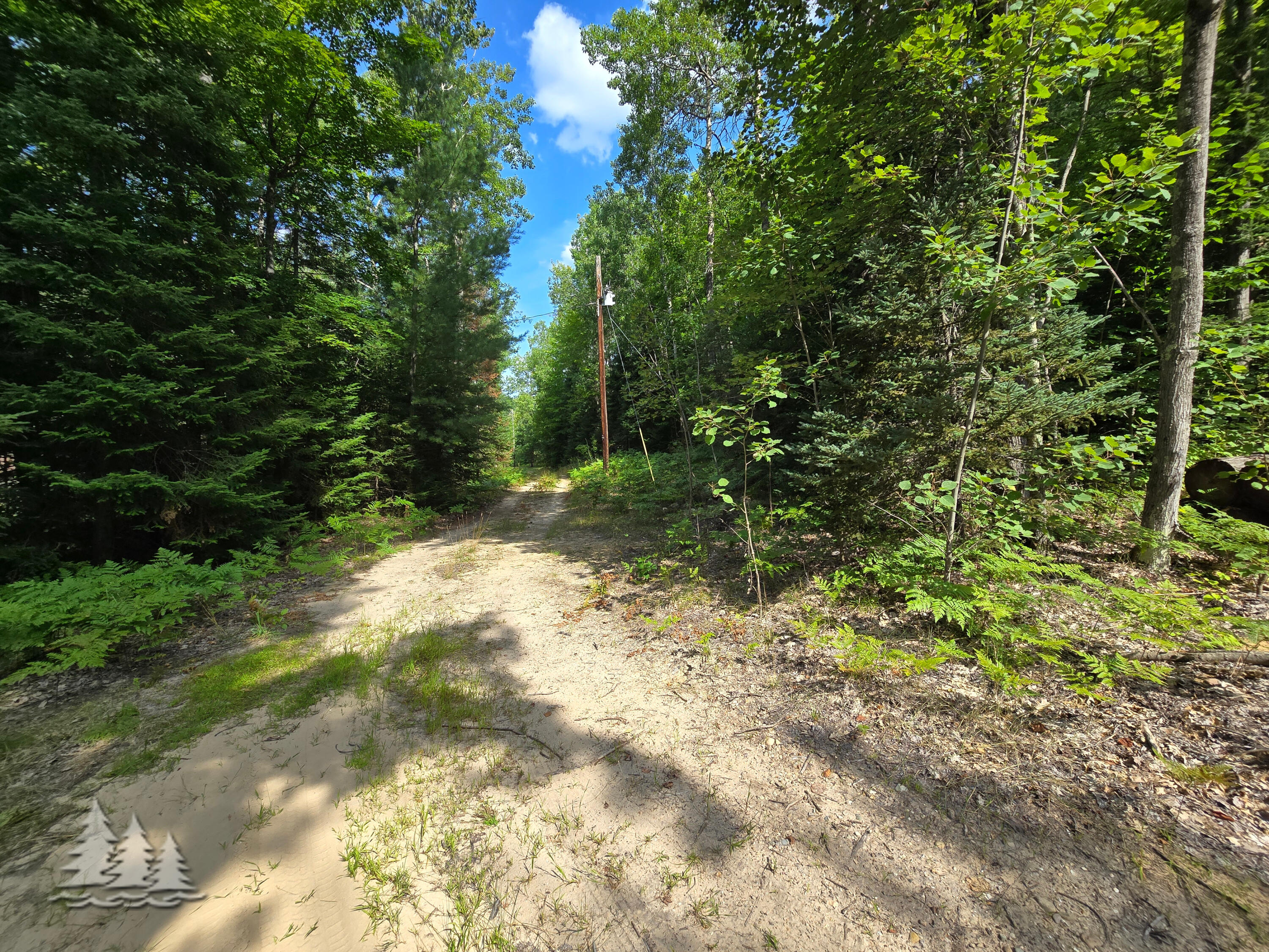 Mccormick Lake Road Atlanta, MI 49709 - Photo 15 of 17 Gallery Image 15