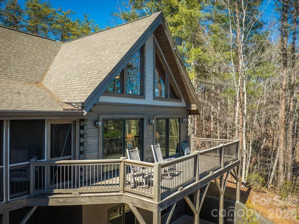 a view of a lush green forest with lush green forest