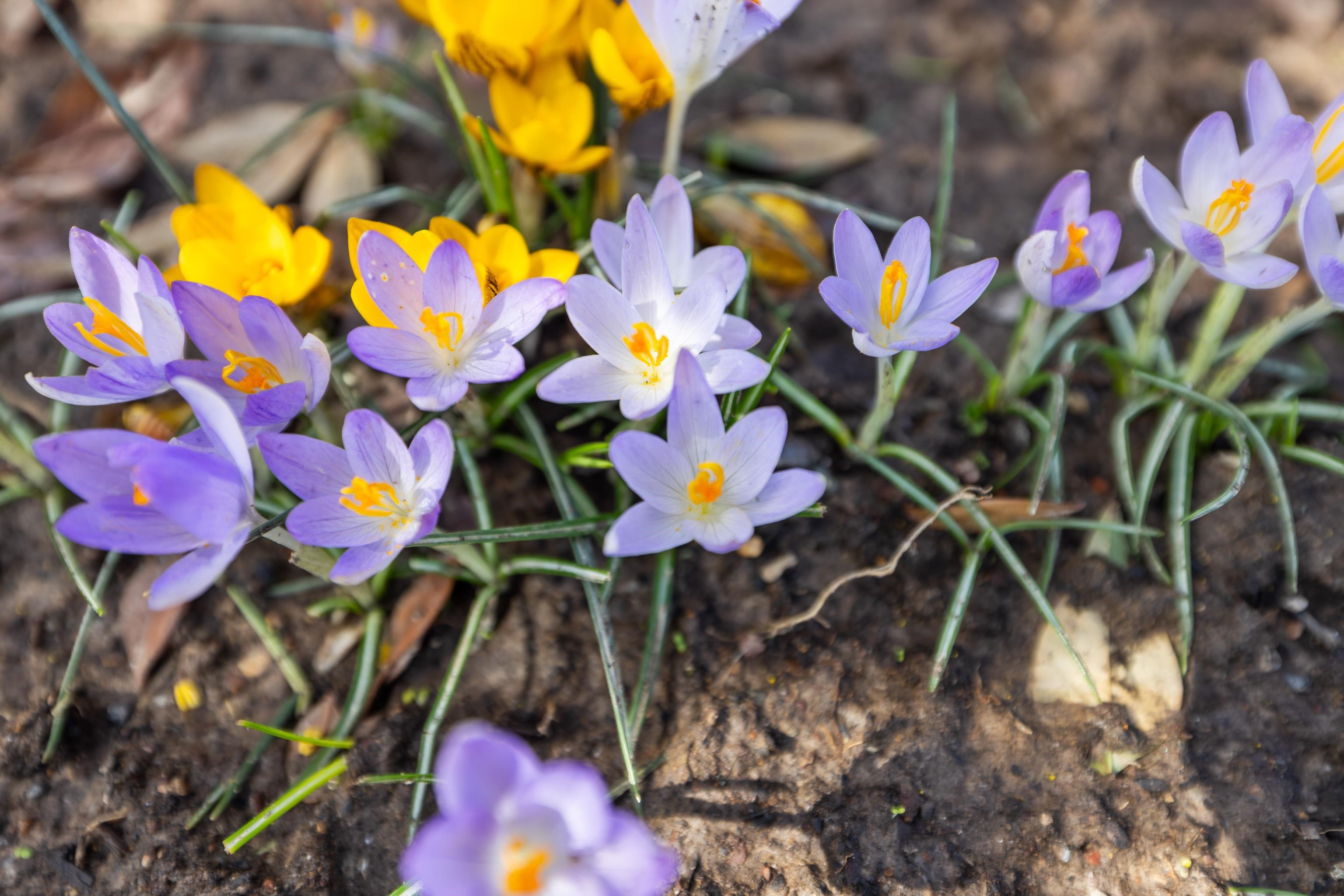 1540 Apple Ridge Court Harrisonburg, VA 22801 - Photo 55 of 75