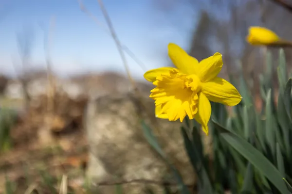 $425,000 | 1540 Apple Ridge Court, Harrisonburg, VA 22801