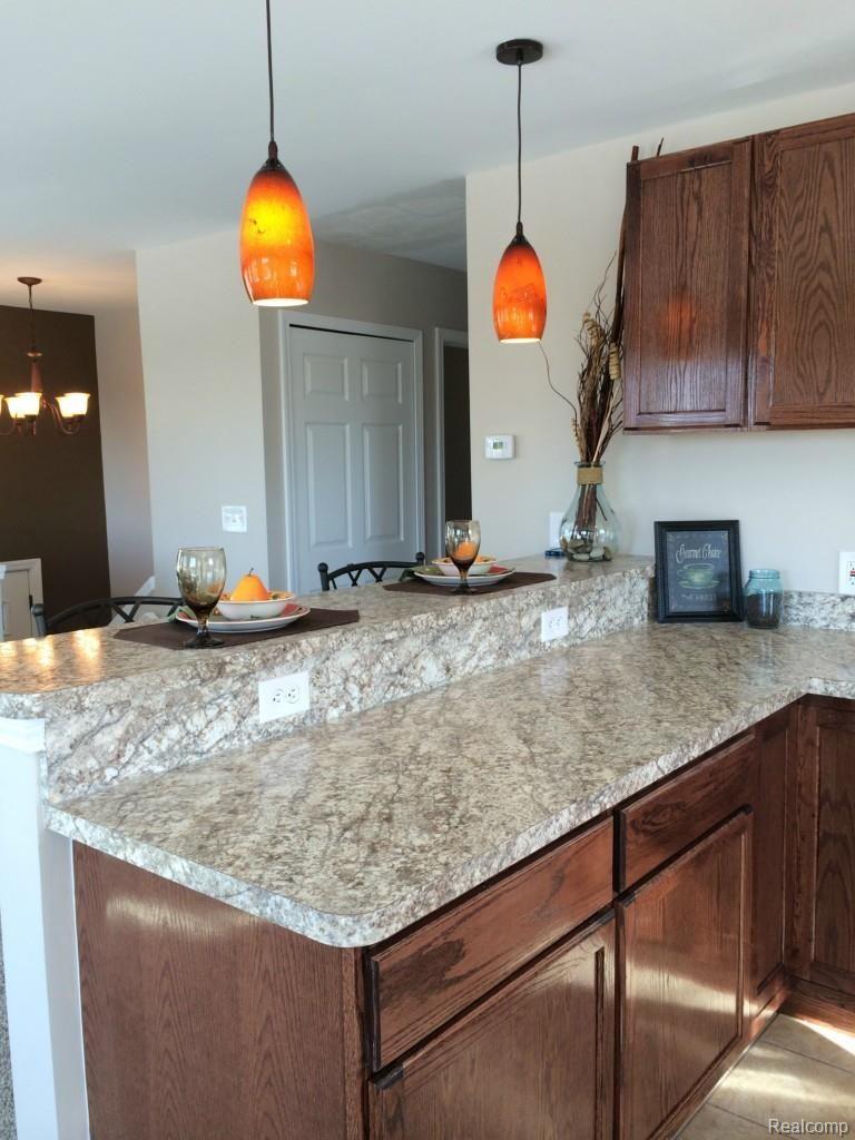 5262 Oleksyn Road Flint, MI 48504 - Photo 24 of 60 32614 Horseshoe oleksyn 465.jpg
