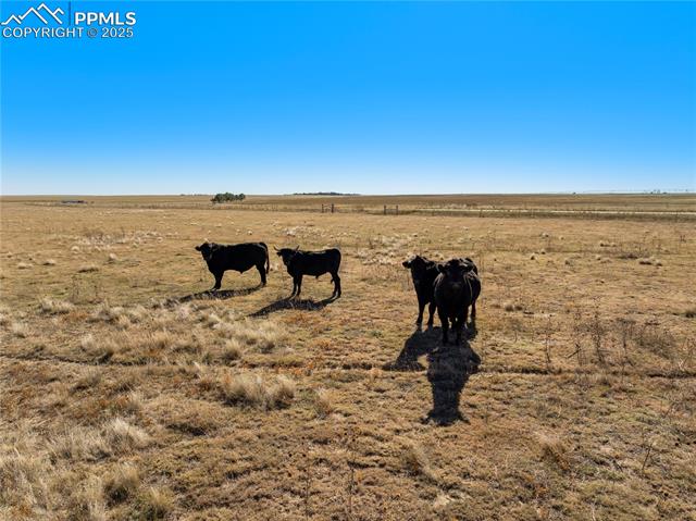 2 B County Road Rush, CO 80833 - Photo 22 of 28 Gallery Image 22