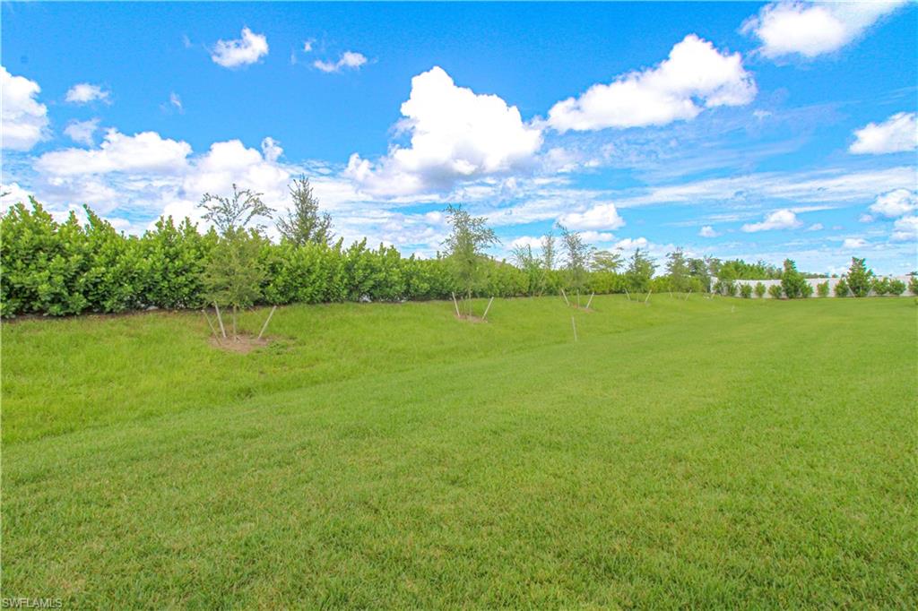 2156 Dragonfruit Way Naples, FL 34120 - Photo 21 of 50 View of yard with a rural view