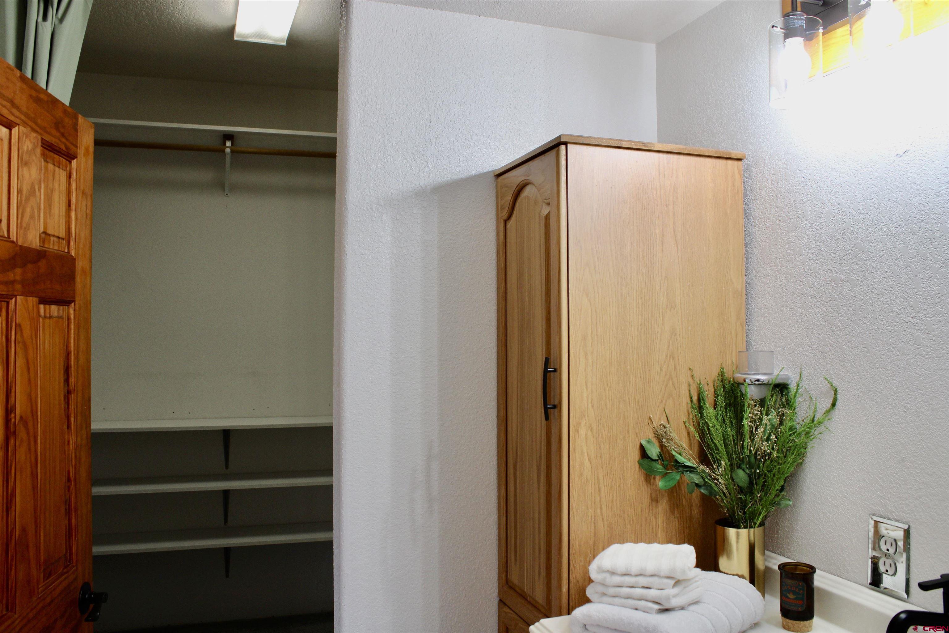 59 Rincon Court Pagosa Springs, CO 81147 - Photo 18 of 37 a bathroom with a mirror and a plant