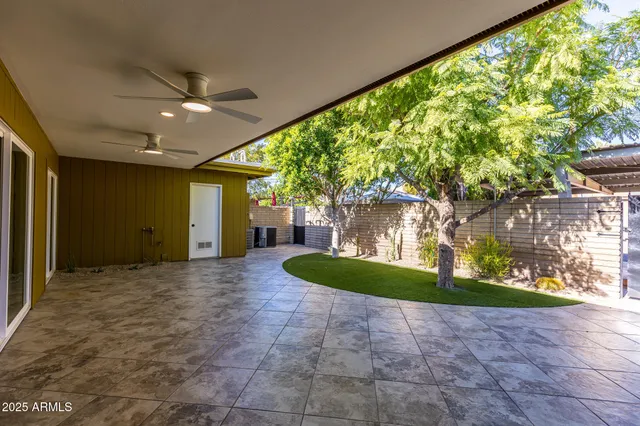 a view of a backyard with plants and a small yard