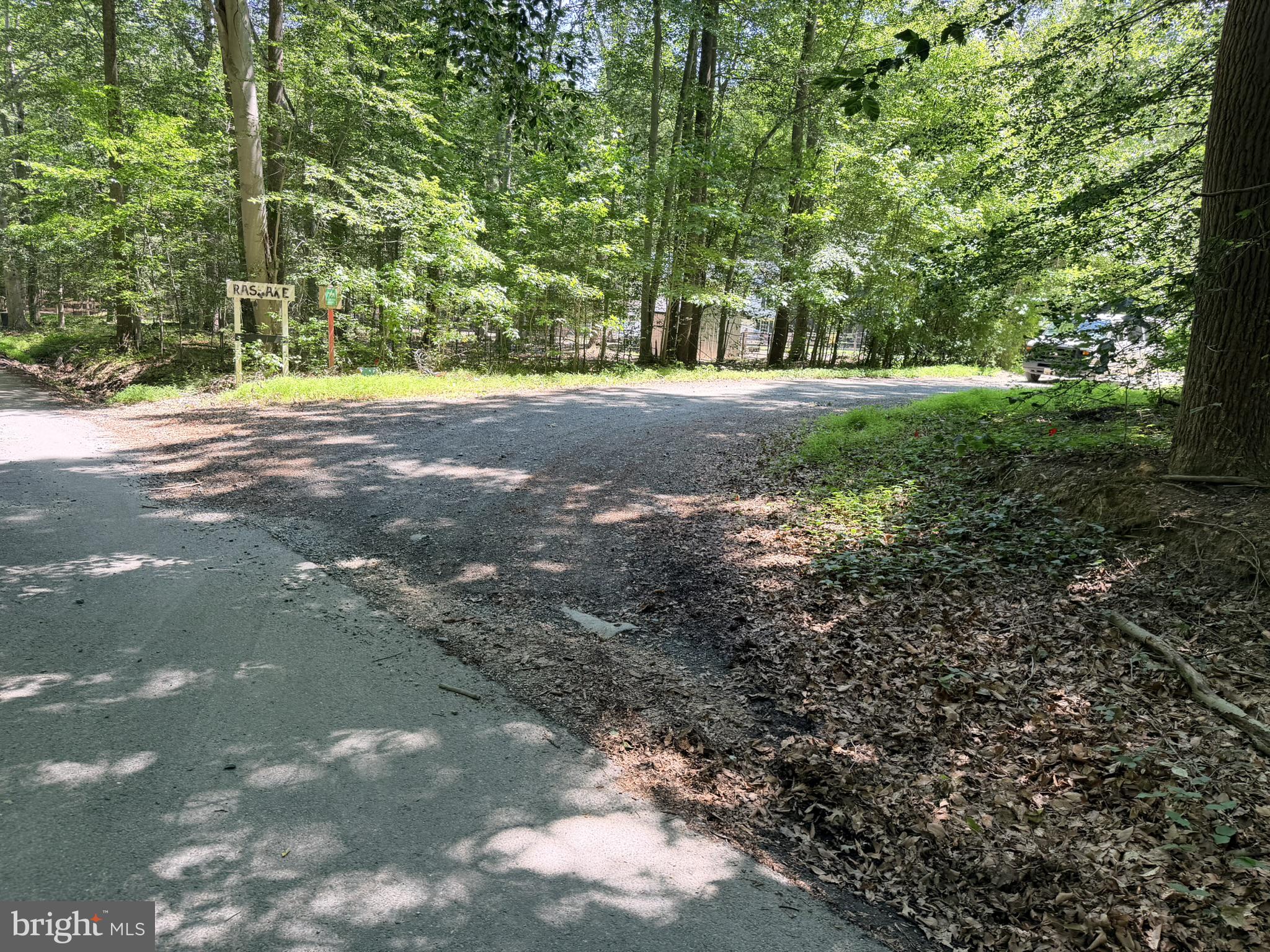 586 Zeitler Road Elkton, MD 21921 - Photo 54 of 55 Serene woodland crossroads await.