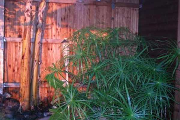 87-3213 Rd F Captain Cook, HI 96704 - Photo 20 of 25 Gallery Image 20