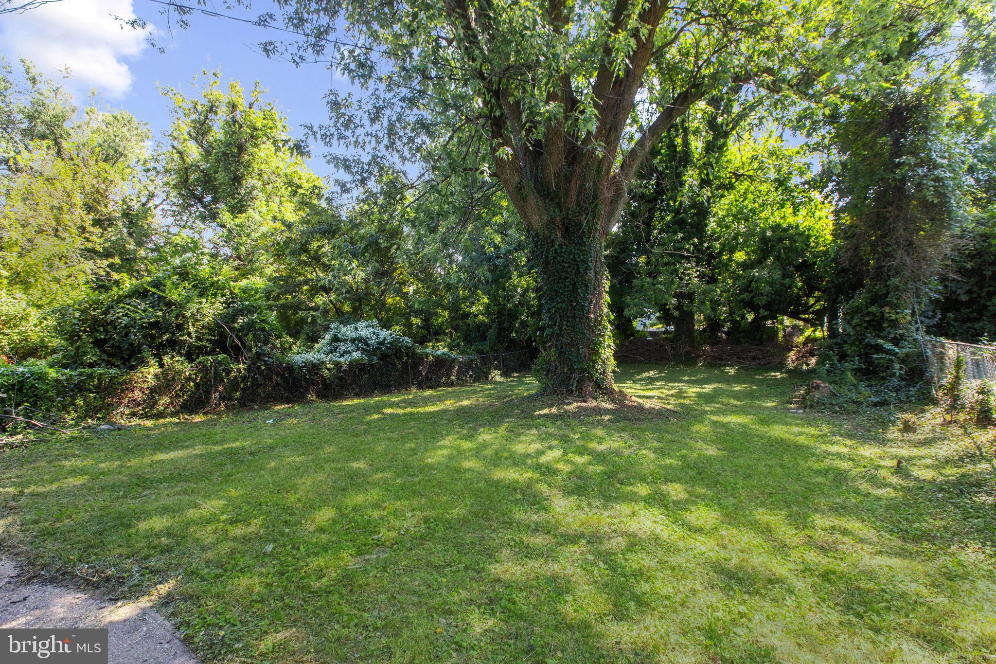 505 McCabe Avenue Baltimore, MD 21212 - Photo 40 of 46 a view of a trees with a yard