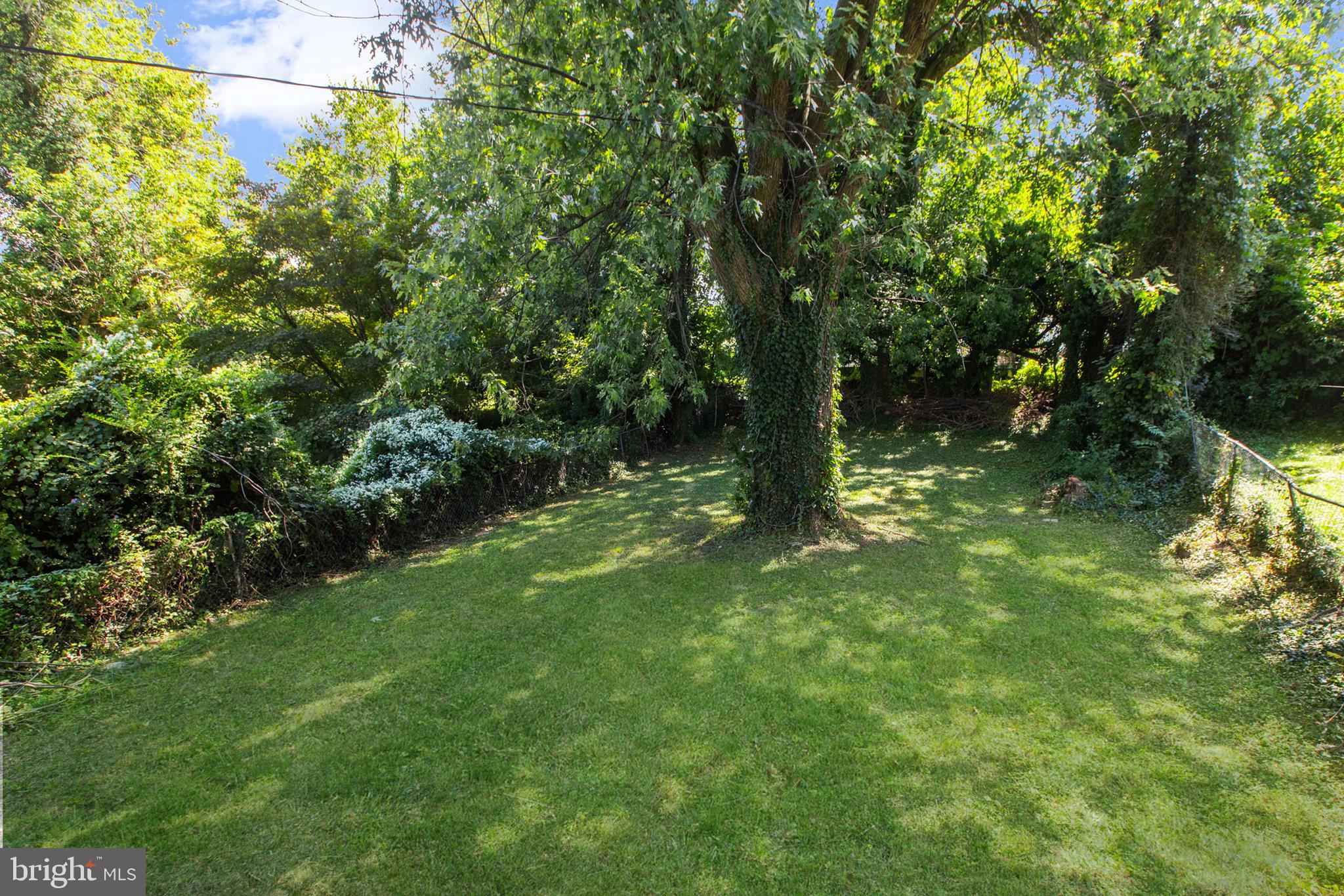 505 McCabe Avenue Baltimore, MD 21212 - Photo 41 of 46 a big yard with lots of green space and plants