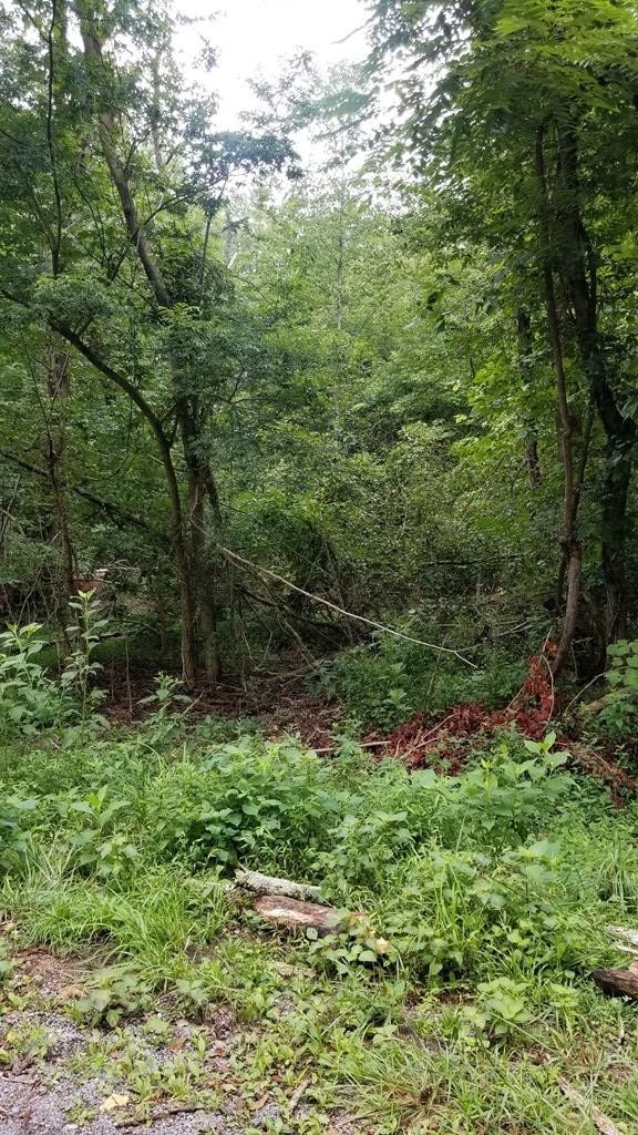 1270 Stump Hollow Road Spring City, TN 37381 - Photo 10 of 15 Gallery Image 10
