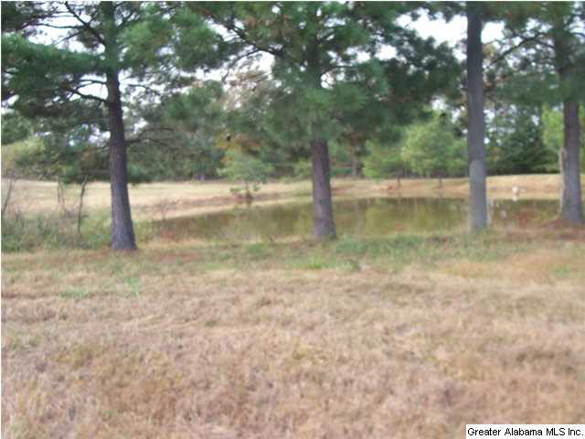 1776 County Road 96 Heflin, AL 36264 - Photo 31 of 31